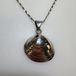 May include: A silver-toned necklace featuring a pendant shaped like a clam shell. The pendant is suspended from a delicate metal chain with a repeating link pattern. The shell has visible horizontal ridges and a polished, reflective metallic surface.