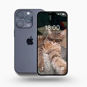 Cute Cat Wallpaper –whimsical wallpaper– Funny Pet Aesthetic Background for iPhone & Android |pet lover wallpaper, ipad wallpaper, ios theme