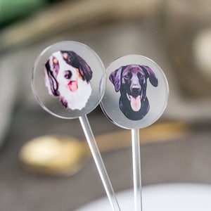Pet Wedding Stir Sticks Dog or Cat Wedding or Bridal Shower Stir Sticks, Personalized Bar Decor Wedding Party Shower Drink Swizzle (DDT222)