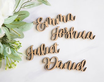Place Card Name Meal Choice Plate Names Cutout Words for Wedding Party Decor, Place Cards for Table Party Placecards (LPC220)