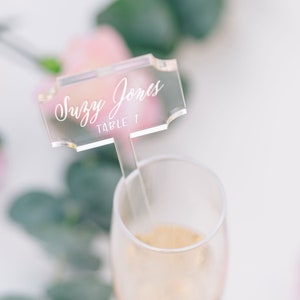 Place Card Stir Sticks Place Card Names for Bubbly Drink Glass Drinks Stirrers Wedding Party Decor, Clear Place Cards for Placecard PCS266