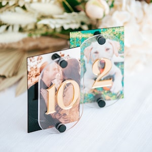 Photo Wedding Table Numbers Custom Wedding Table Numbers Modern Party Event Decor Acrylic Table Numbers Oval Wedding Table Sign PTN622