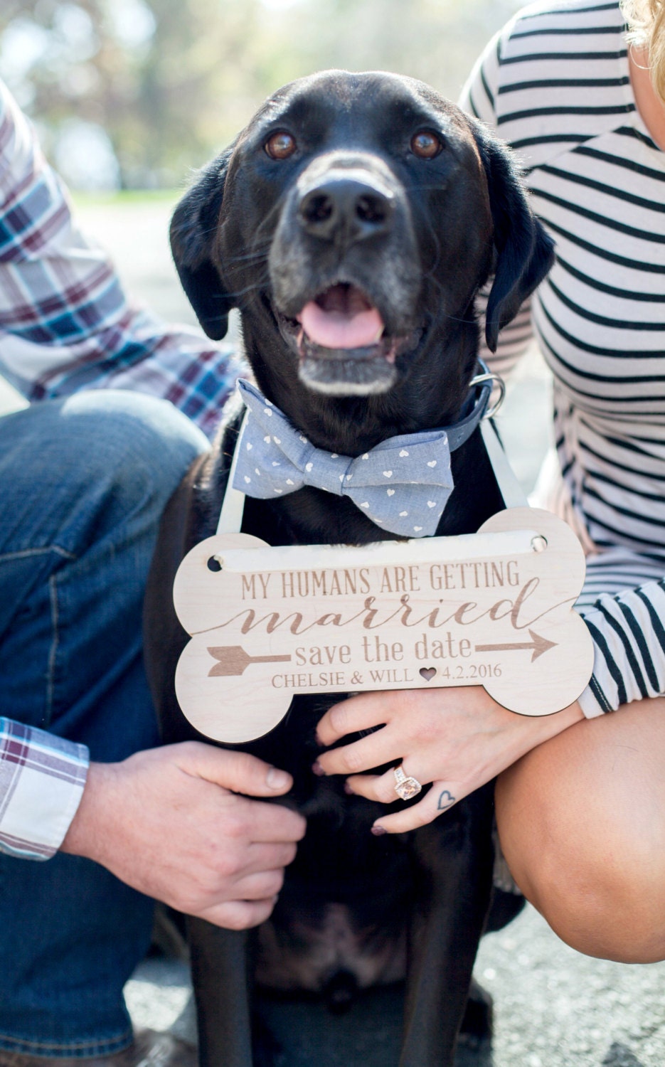 Pet Sign for Save the Date Cards Dog Sign Engagement Save the Etsy