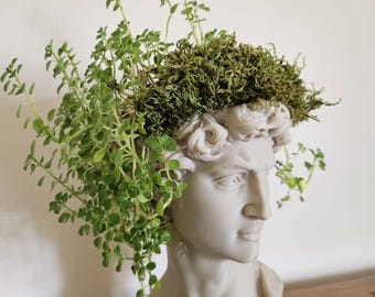 David Head Planter - Bone Beige Greek Bust - Dark Academia Decor
