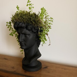 David Head Planter - Bone Beige Greek Bust - Dark Academia Decor image 6