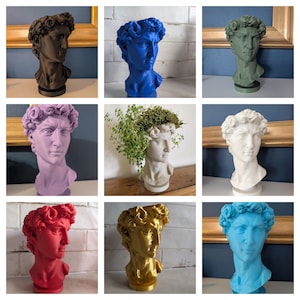 May include: A selection of David bust sculptures in diverse colours: black, blue, green, lavender, white, red, gold, and teal. Some busts are planters with greenery. The busts are displayed against neutral backgrounds.