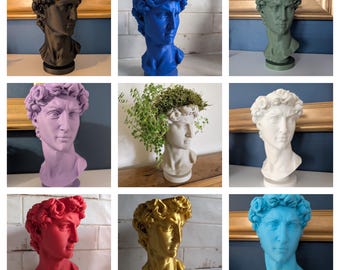 David Head Planter – 20cm 3D Printed Statue Flower Pot – Multi Colour - Drip Tray