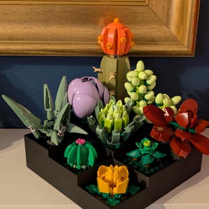 May include: A black tiered planter box filled with colorful Lego succulents. The succulents include green, red, purple, and yellow flowers and cacti. The background includes a gold-framed picture and a dark blue wall.