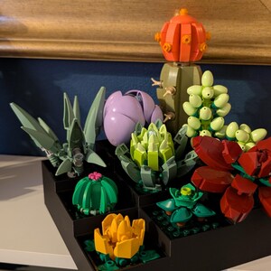 May include: A collection of colorful Lego succulent plants in a black planter. The succulents include green, red, yellow, and purple flowers and cacti. The arrangement is set against a dark blue wall and a white shelf.