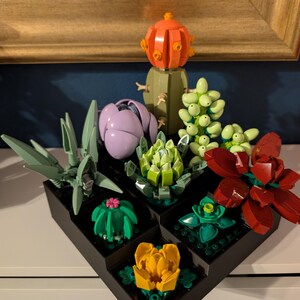 May include: A collection of colorful Lego succulent plants in black square planters. The plants include a green agave, a purple flower, a green cactus with a pink flower, a yellow flower, and a red flower. The background includes a gold-framed picture and a blue wall.