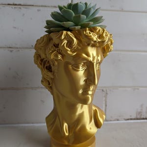David Head Planter - Bone Beige Greek Bust - Dark Academia Decor image 12