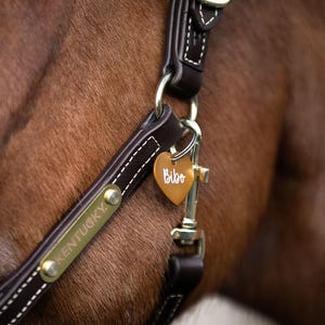 Pferde Glücksmarken • Halfter Accessoires •  Reitergeschenk • individuell • Halftermarke • Pferde Anhänger • Geschenk für Reiter