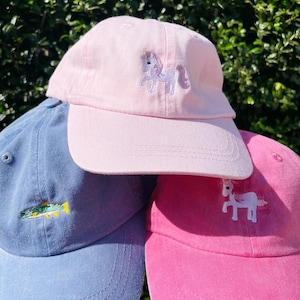 Mini Design Embroidered Kids Hat
