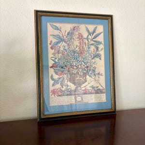 Vintage Robert Furber “January” Botanical Print
