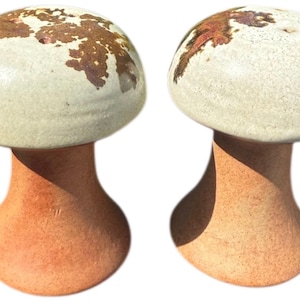 Salt & Pepper Shakers Mushroom Style