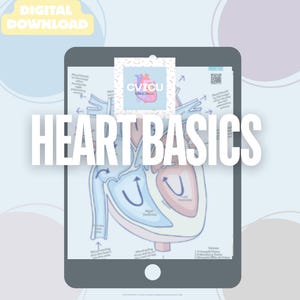 Anatomy Basics for Nurses Study Guide