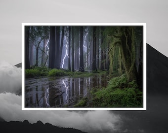 Forest Storm Lightning | Dramatic Landscape | Digital Download | Nature Photography | Weather Wall Art | Thunderstorm Poster