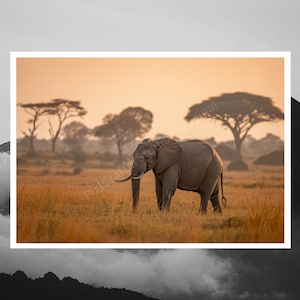 Elephant Safari Wildlife Art | Majestic Wall Art Print | Printable Poster | Africa Animal Digital | Digital Download