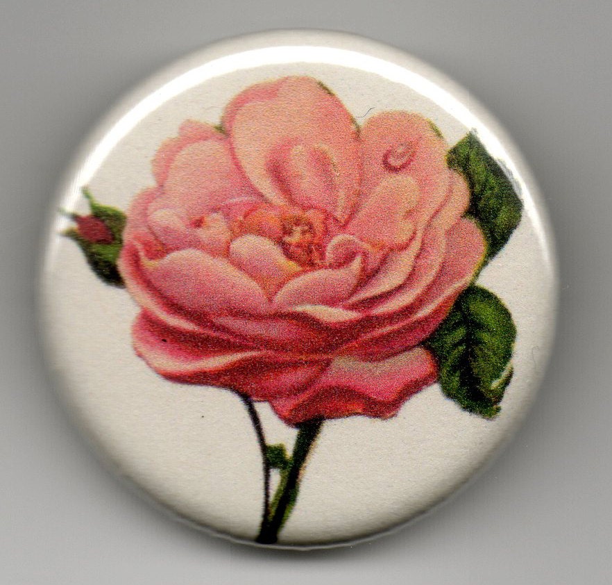 Wonderful Large Pink Rose 1.25 Inch Pin Back BUTTON Vintage Etsy