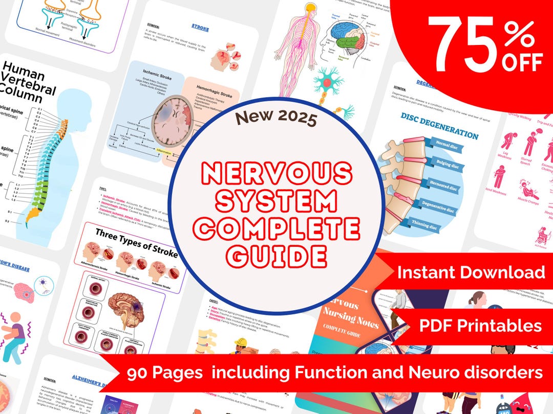 Nervous System Study Guide | Anatomy Physiology Pathology | Nursing ...