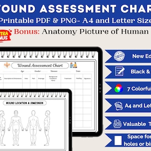 Tableau d'évaluation de la plaie | Soins des plaies et escarres | Documentation imprimable sur les soins infirmiers PDF + PNG