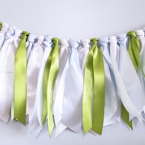 Light Blue & Green Ribbon Garland: Party Photo Prop