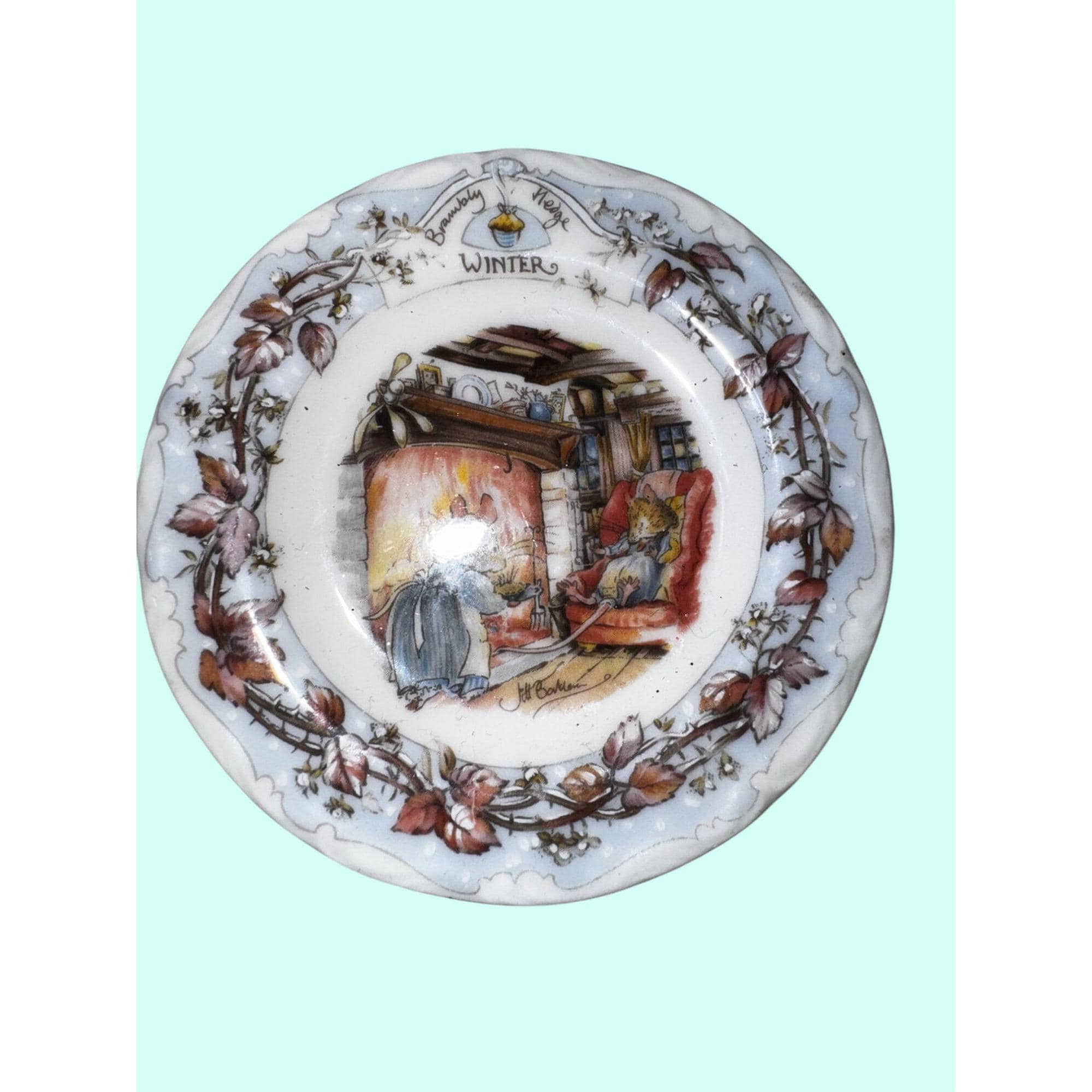 Brambly Hedge Plate - Etsy