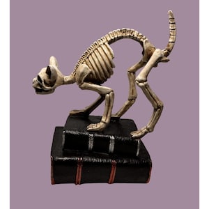 Skeleton Cat Figurine On Books Halloween Decor 8&quot; Tall Resin Ivory & Black