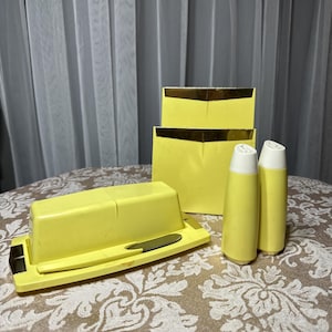 Vintage Plastic Melamine Napkin Holder Butter Dish Salt  Pepper Picnic Backyard