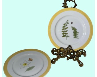 Williams Sonoma Summer Studies Gelber Blumensalatteller Japan