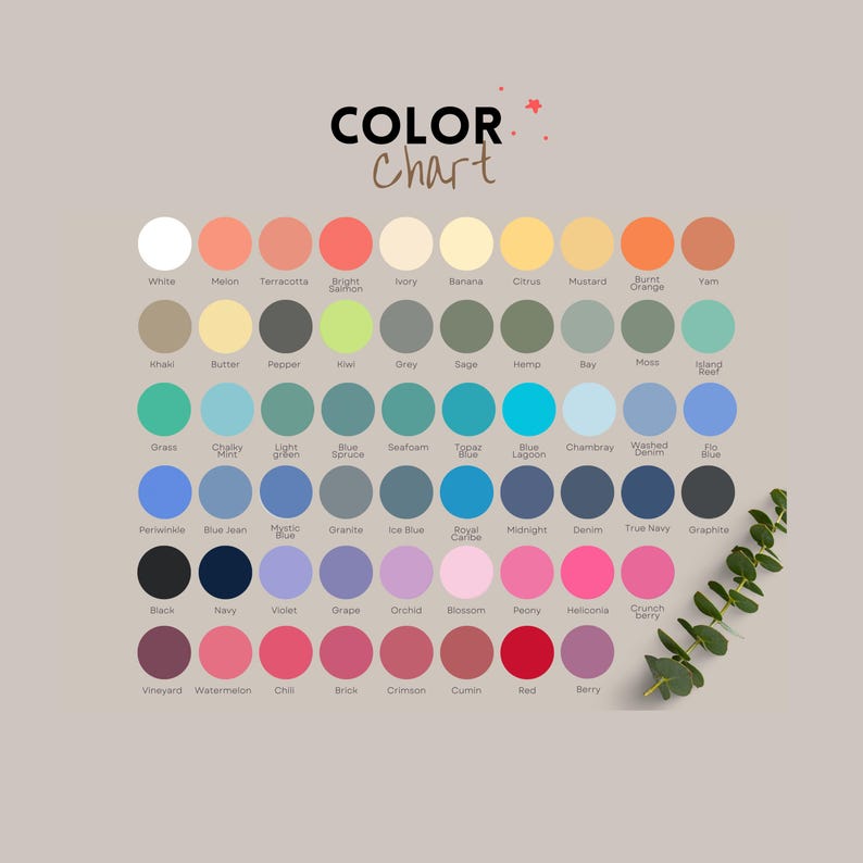 Op de afbeelding: Een kleurenkaart met een verscheidenheid aan tinten, waaronder wit, roze, blauw en groen. De tekst "COLOR Chart" staat bovenaan. Elke kleur is voorzien van een naam. Een takje groen staat rechtsonder.
