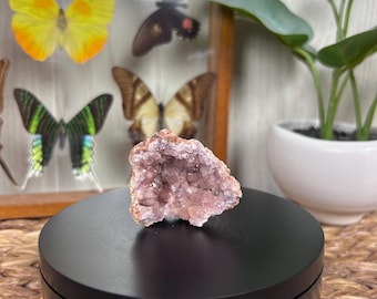 Natural Pink Geode Quartz Crystal Formation Specimen (C)