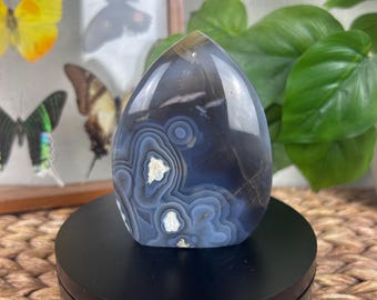 Ágata Orca de forma irregular, corteza pulida natural para la transformación y la sanación emocional, chakra de la garganta.
