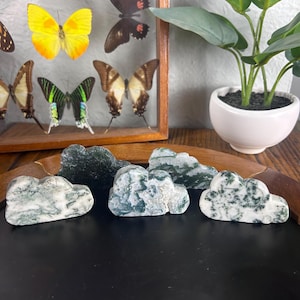 May include: A collection of cloud-shaped decorative stones. The stones are white with green and gray marbling. A wooden display case with preserved butterflies is in the background, along with a small potted plant.
