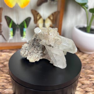 Natural Tibetan Quartz Crystal Cluster Point Mineral Specimen (C) - Natural Crystal for Purification, Protection and Attunement