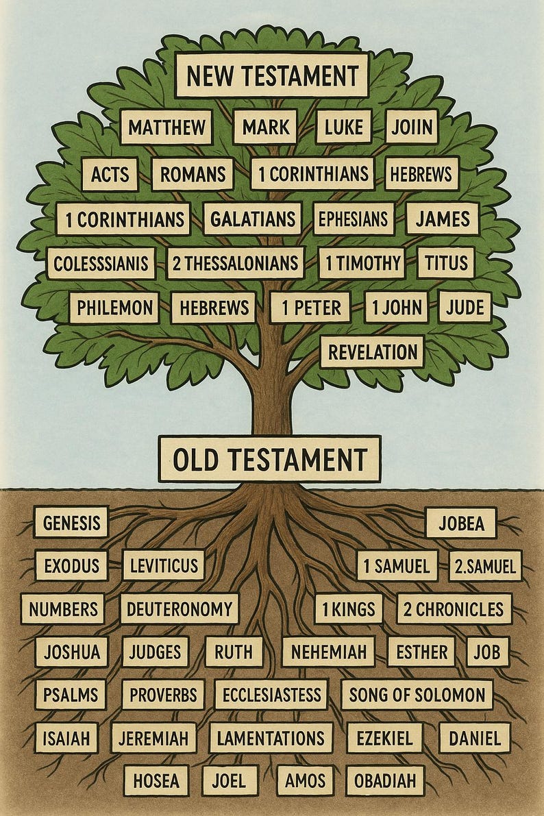 Biblical Tree Roots Bible Inspiration - Etsy