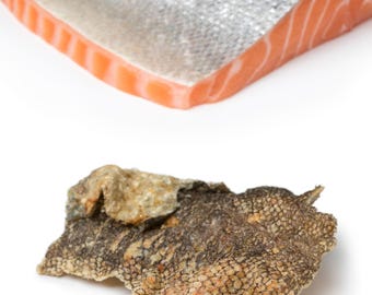 Piel de salmón deshidratada/Golosinas naturales para perros y gatos
