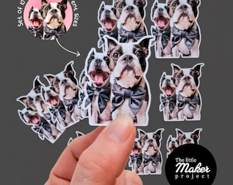Juego de 10 pegatinas personalizadas de tu mascota, calcomanías de vinilo personalizadas a partir de tu foto, regalo para amantes de los perros, pegatina de recuerdo para mascotas para niños.