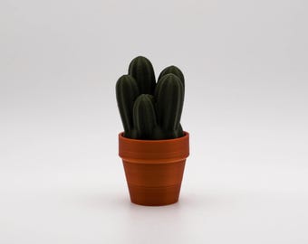 Clicky Cacti: mechanisch Fidget-bureauspeelgoed met toetsenbord