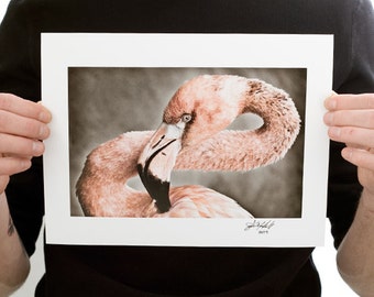 Pink Flamingo Photograph (9 x 6 inch Fine Art Print) Nature Photography Bird Decor