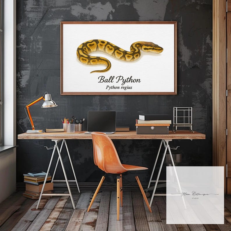 Kungspyton (Python regius) Akvarell Vetenskaplig Illustration Tryck – bild 6