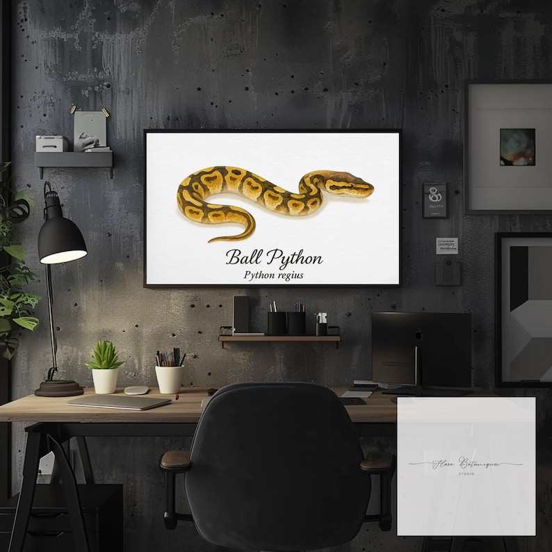 Kungspyton (Python regius) Akvarell Vetenskaplig Illustration Tryck – bild 3