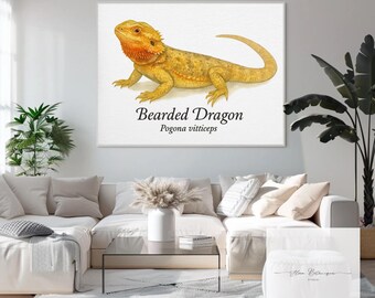 Skäggagame (Pogona vitticeps) Utskrivbar väggkonst • Vetenskaplig akvarell – A4 16x20 JPG