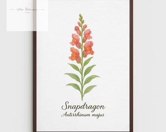 Impression botanique Muflier - oeuvre d'art murale A4 florale vintage pour la décoration intérieure