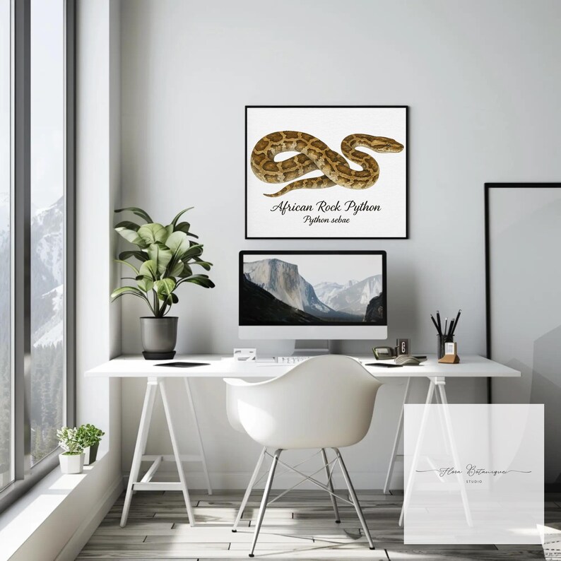May include: A contemporary home office featuring a white desk, chair, and computer. Above the monitor is a framed print of an African Rock Python. A potted plant and a window with a mountain view are also visible.