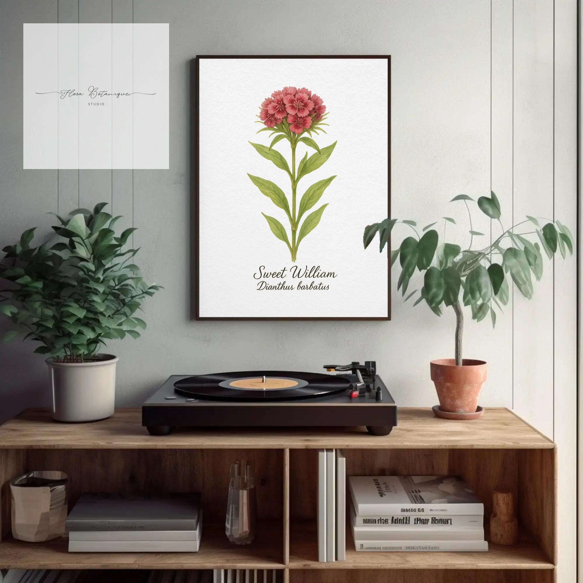 Sweet William Botanical Print – Vintage Floral A4 Wall Art for