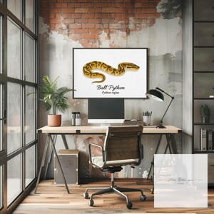 Kungspyton (Python regius) Akvarell Vetenskaplig Illustration Tryck – bild 5