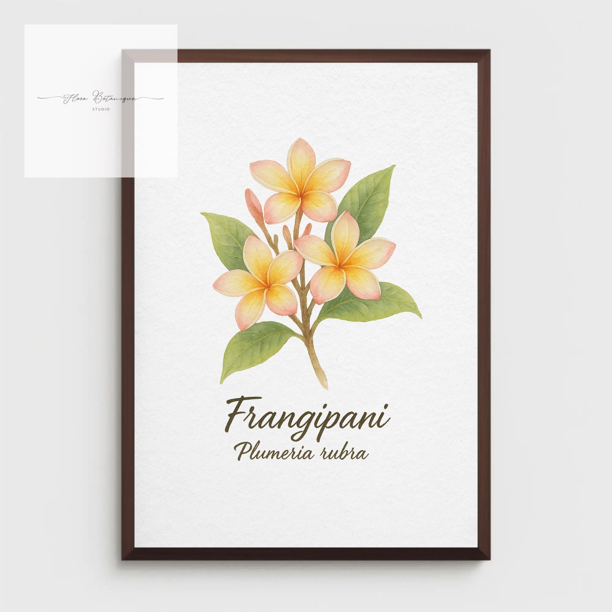 Frangipani Botanical Print – Vintage Floral A4 Wall Art for Home