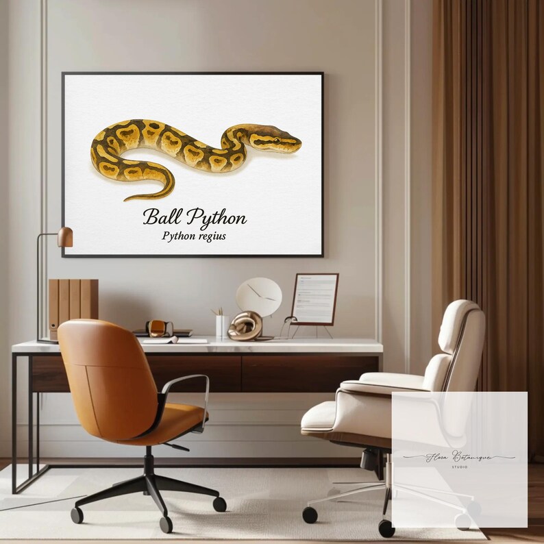 Kungspyton (Python regius) Akvarell Vetenskaplig Illustration Tryck – bild 4