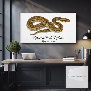May include: A canvas print showing an African Rock Python, Python sebae, in brown and tan hues. The snake is coiled on a white backdrop. The text "African Rock Python" and "Python sebae" are written in black script.
